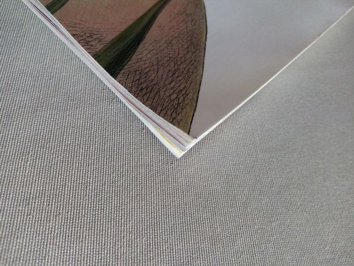 Livre pour enfant : l'école des loisirs - photo numéro 9