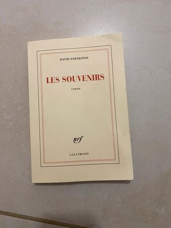 Les souvenirs David Foenkinos
