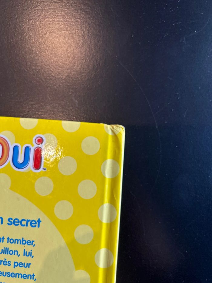 Oui oui la petite quille a un secret - photo numéro 4