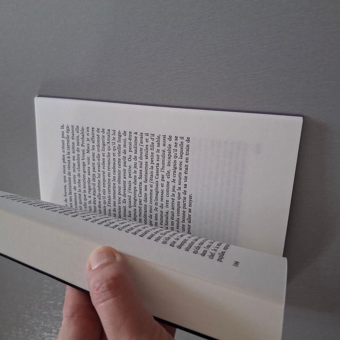 Livre roman "L'amour harcelant" de Ferrante Elena - Comme neuf - Format broché - Editeur Gallimard - photo numéro 4