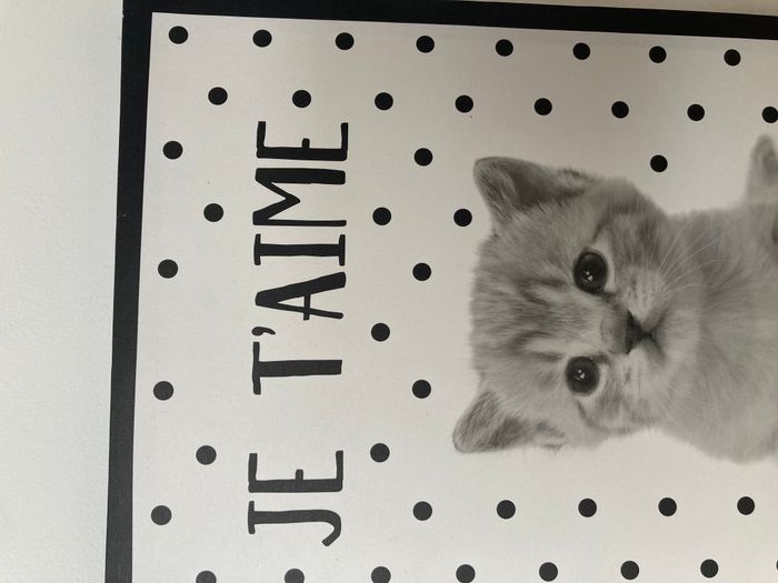 tableau chat - photo numéro 2
