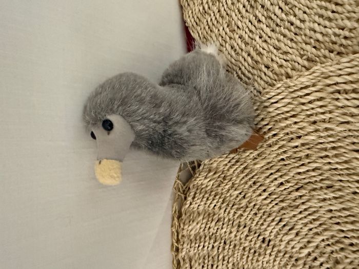 Peluche Oiseau Dodo gris Île Maurice Mauritius neuf Wally Plush Toys - photo numéro 6