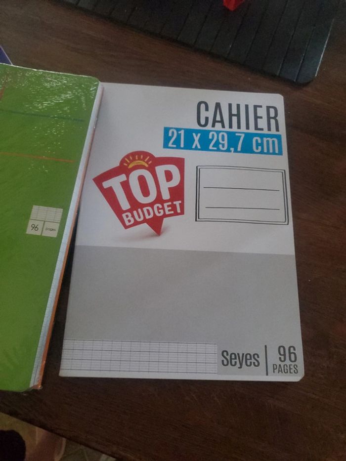 Lot de 4 cahiers 21x29.7 96 pages - photo numéro 4
