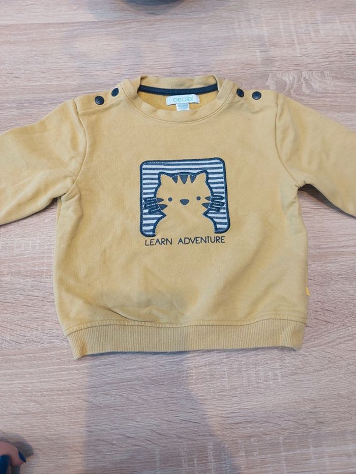 Pull chat - photo numéro 2