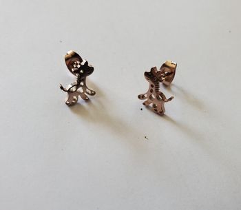 Boucles d'oreilles