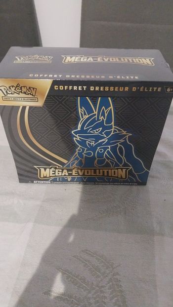 ETB MEGA LUCARIO