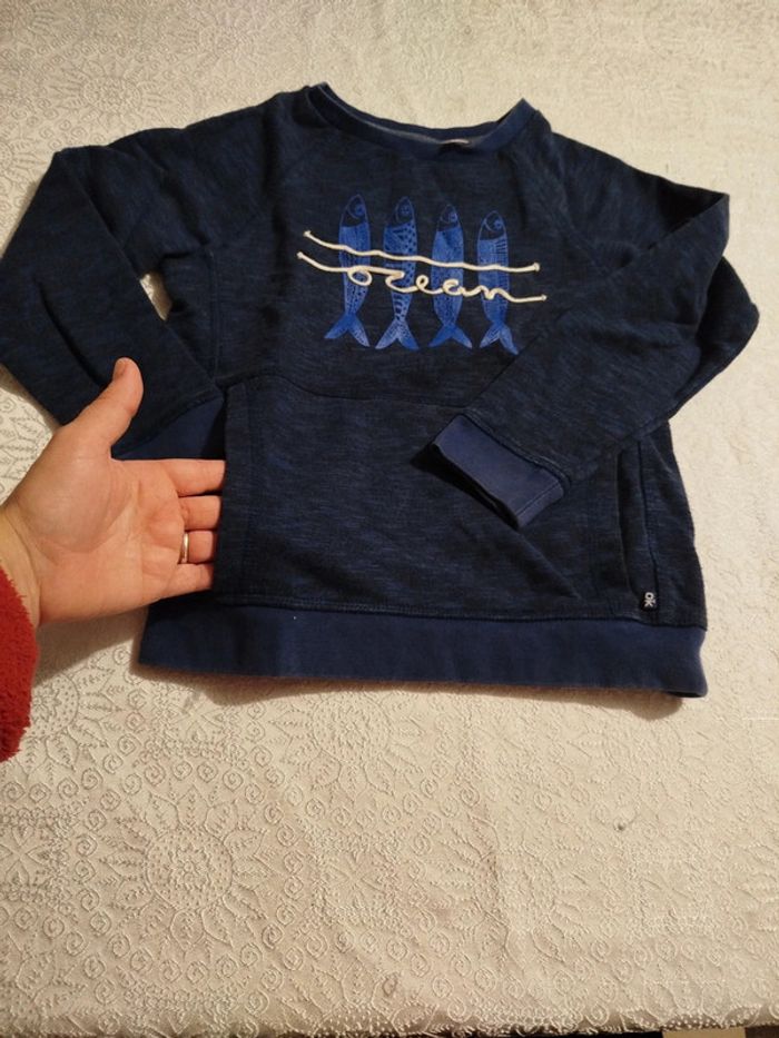 Pull bleu - photo numéro 2