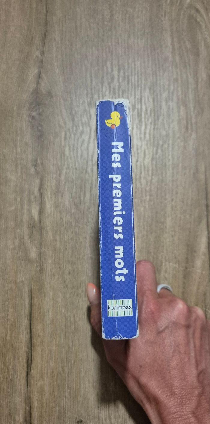 Livre à rabats : Mes premiers mots - photo numéro 10