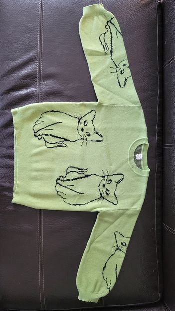 Pull chat taille 9 ans