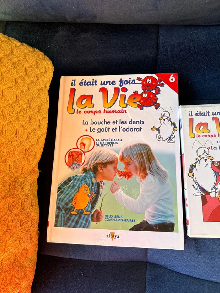 Livre et dvd numéro 6 collection la vie le corps humain - photo numéro 2