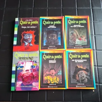 Lot livres chair de poule