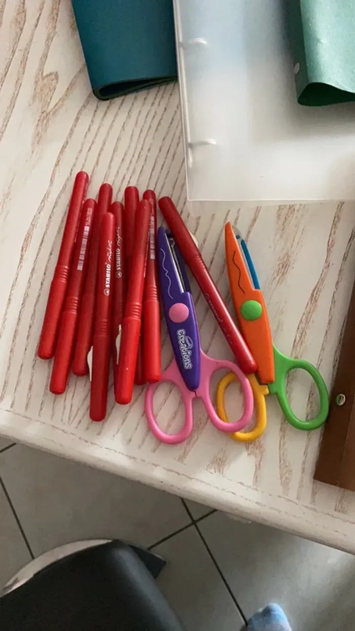 gros lot scolaire classeurs cahiers porte vue etc - photo numéro 2