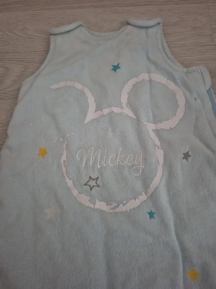 Gigoteuse Mickey - photo numéro 2