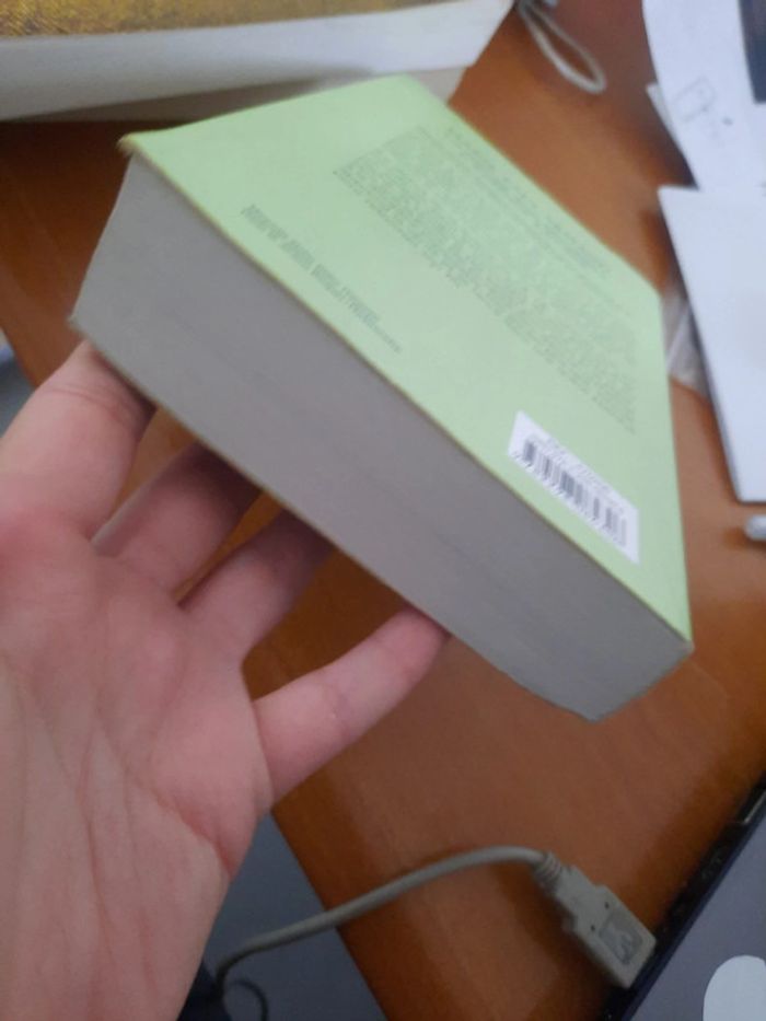 Roman d'été - photo numéro 4