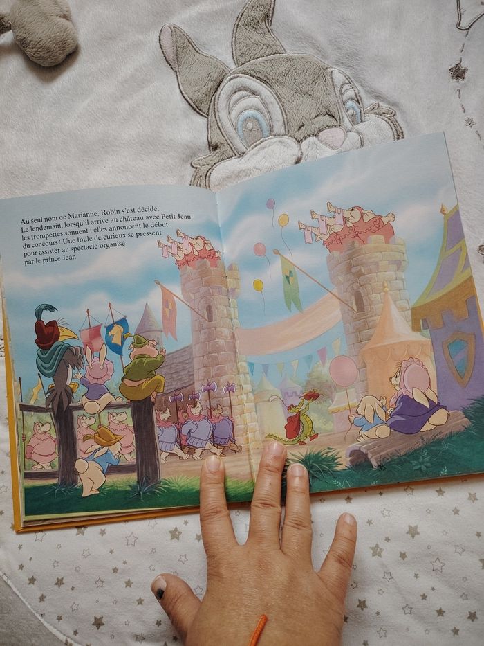 Livre robin des bois - photo numéro 3