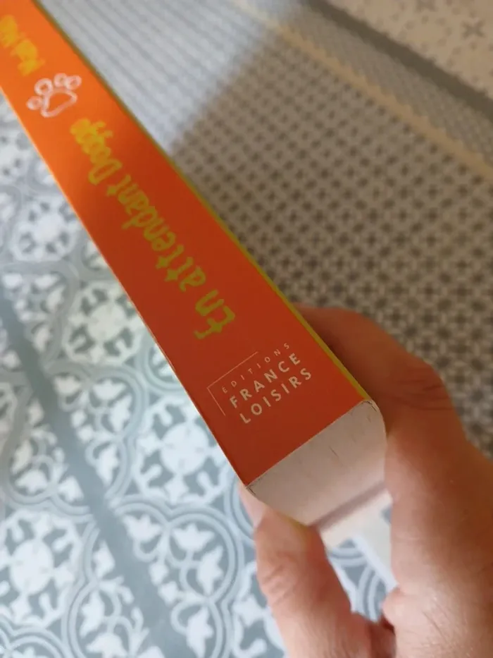 Roman - En attendant Doggo - photo numéro 4