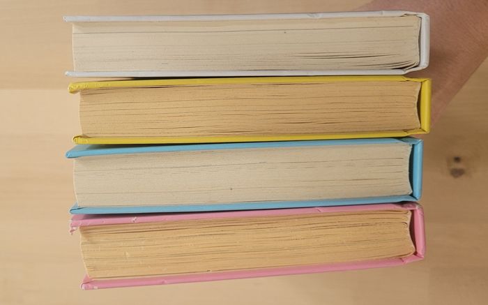 Lot 4 livres "Princesse Catastrophe " - photo numéro 7