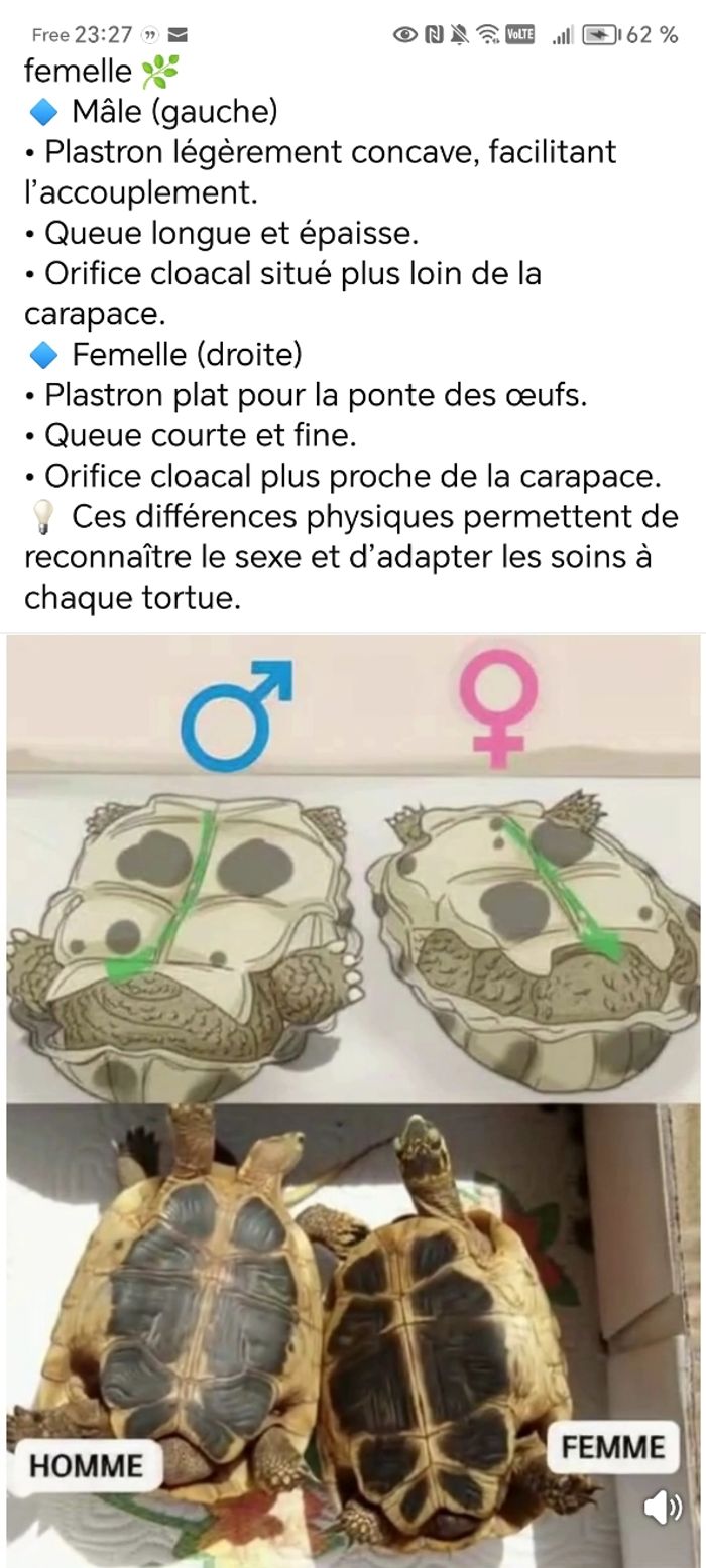 Cafetière à piston 8 tasses "Bodum Brazil" neuve - photo numéro 2