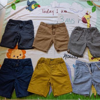 Bermudas pantacourts 