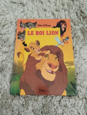 Le roi lion grand format