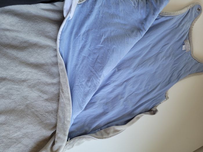 Gigoteuse grise - photo numéro 5