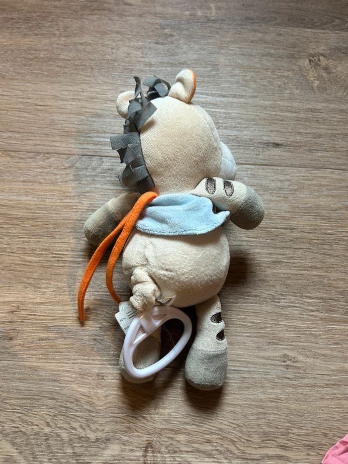 Zèbre musical - photo numéro 3