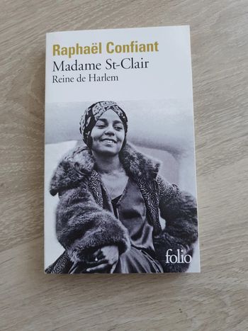 Livre "madame st clair"