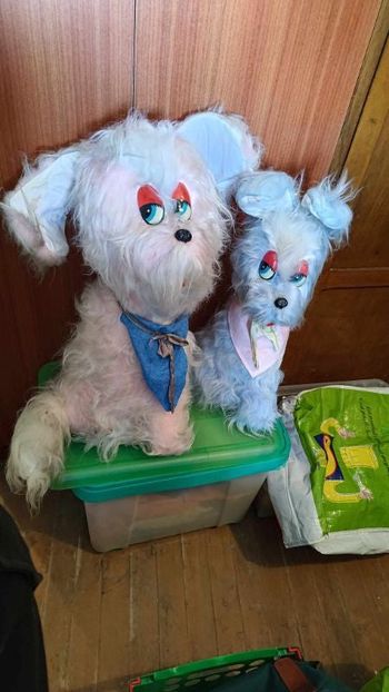 Chiens vintage années 70