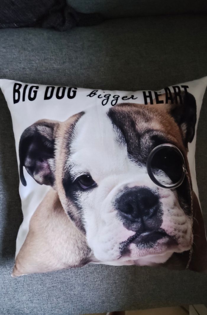 Lot de deux coussins décoratifs animaux - photo numéro 5