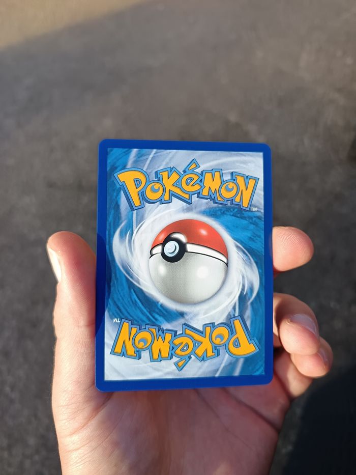 Dresseur Roy TG27/TG30 - photo numéro 2