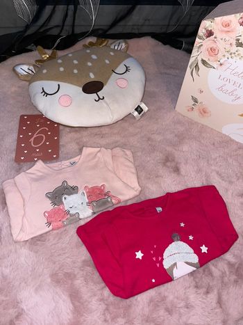 Lot de 2 tee shirt ML
