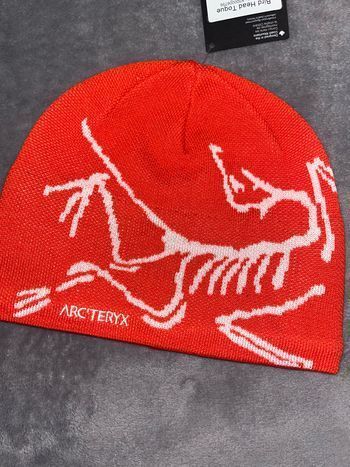 Arc’teryx - Bonnet Bird Head toque arctic Silk / Dynasty