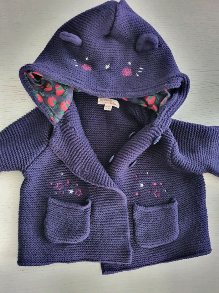 Gilet capuche dpam 24 mois - photo numéro 2