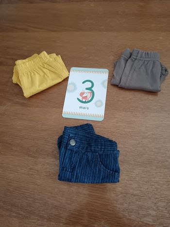 3 shorts