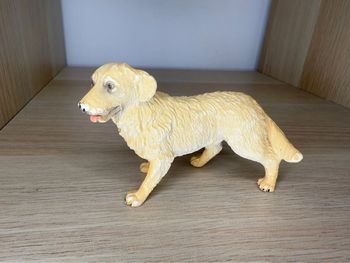 Chien bullyland