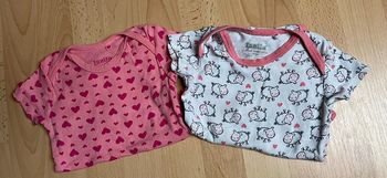Lot 2 bodies manches courtes 74-80 cm