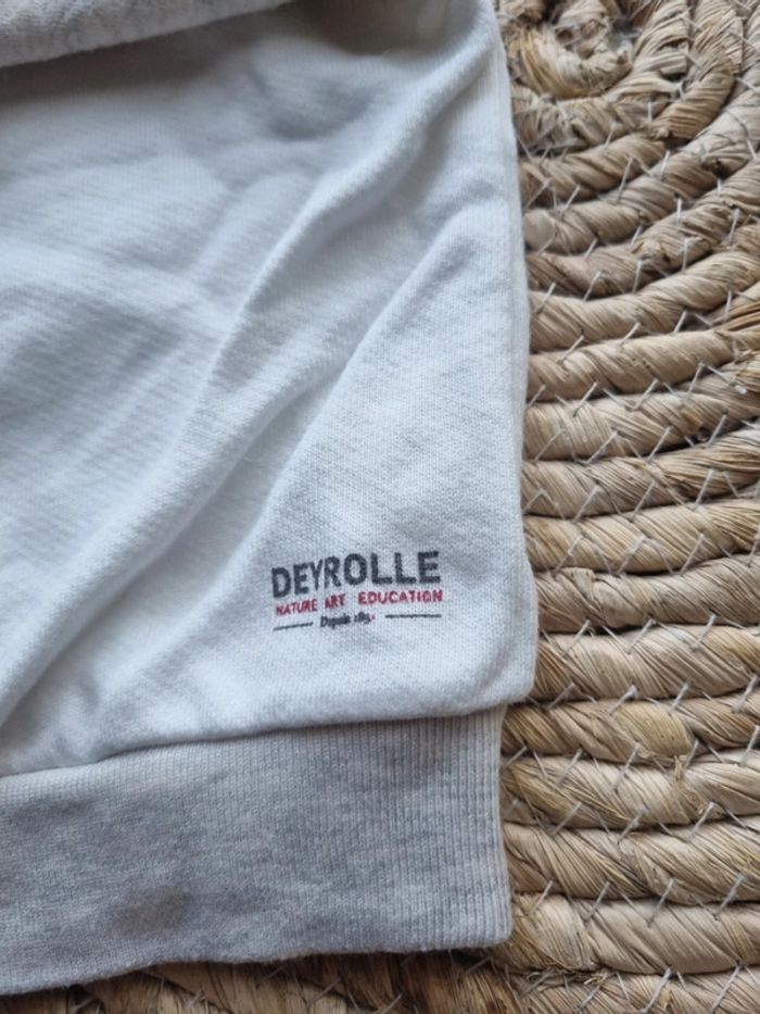 Sweats petit bateau - photo numéro 5