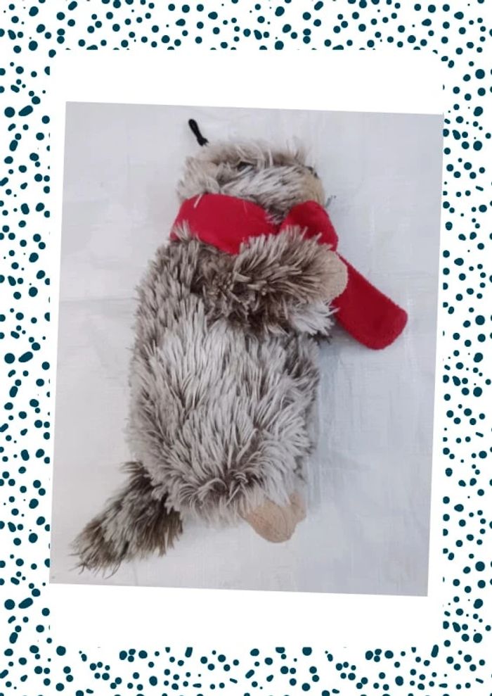 Marmotte - photo numéro 4