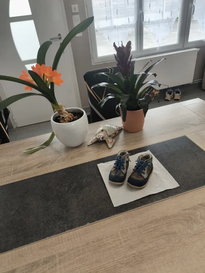 Chaussures montantes garçon 20 Kickers