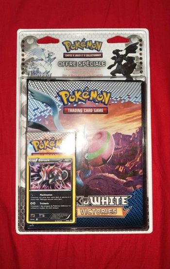 Portfolio Pokémon noir et blanc