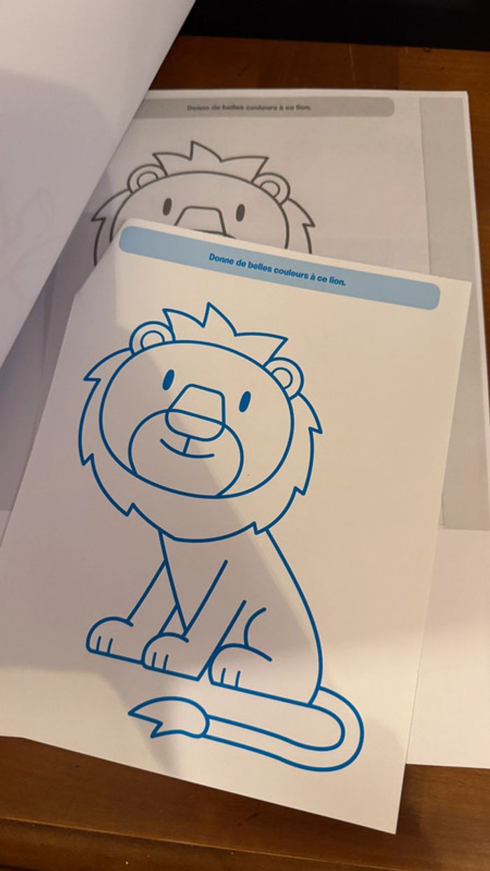 Bloc de jeux et coloriage + 2 ans, des photocopies ont été faites des dessins et vendu avec le tout - photo numéro 8