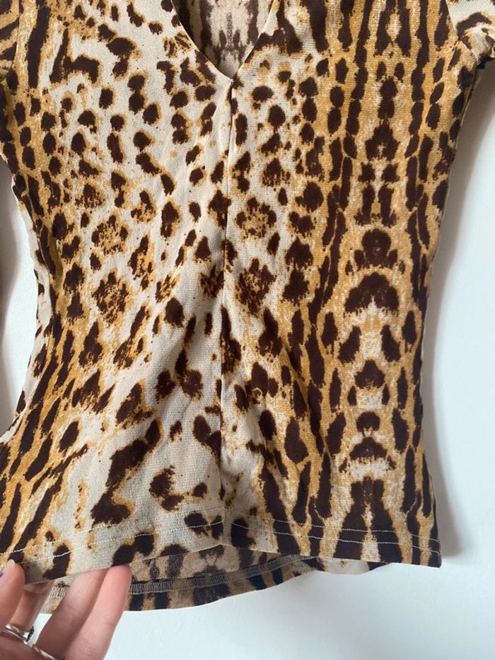 Morgan leopard - photo numéro 6