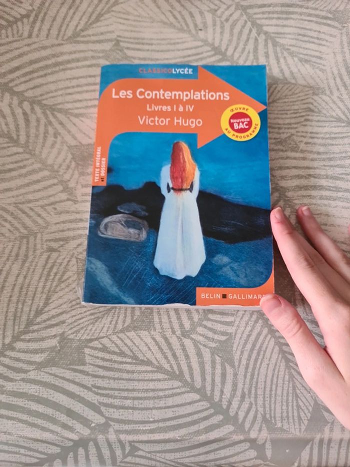 Les contemplations livre 1 à 4 VH