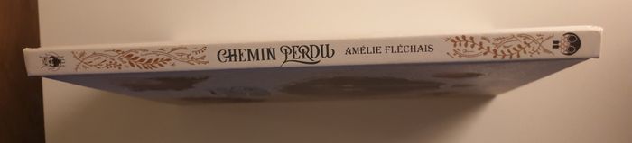 Chemin perdu de Amélie Fléchais - photo numéro 3
