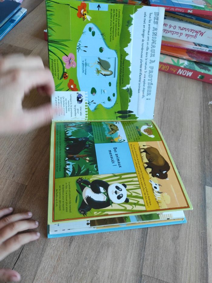 Kididoc : Protégeons la planète ! - photo numéro 7