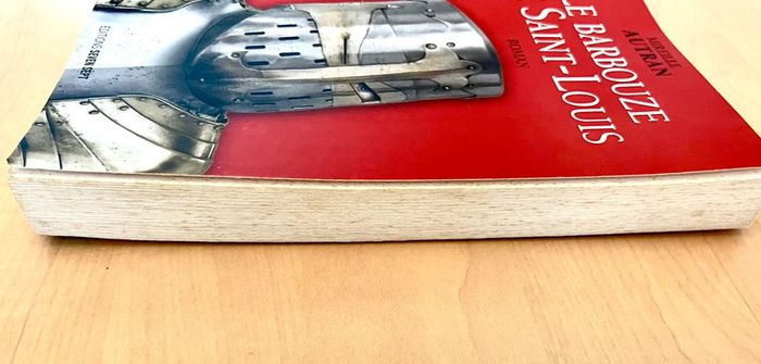 Le barbouze de Saint-Louis de Mireille Autran - photo numéro 3