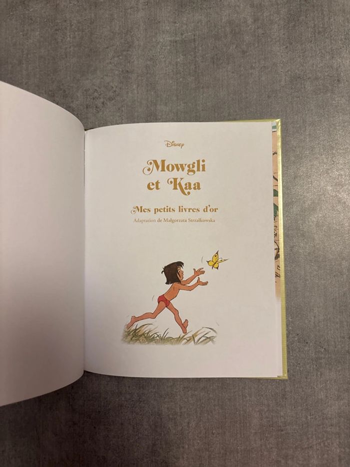 Livre Disney, mes Petit, livre d’or Mowgli et kaa - photo numéro 2