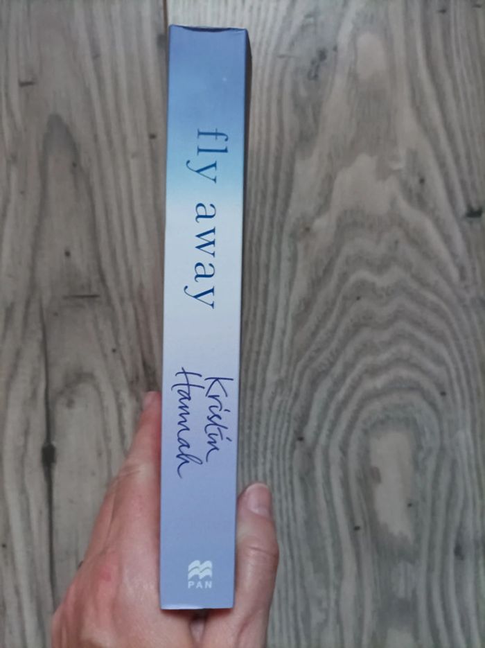 Livre " Fly away" Kristin Hannah en anglais neuf - photo numéro 2