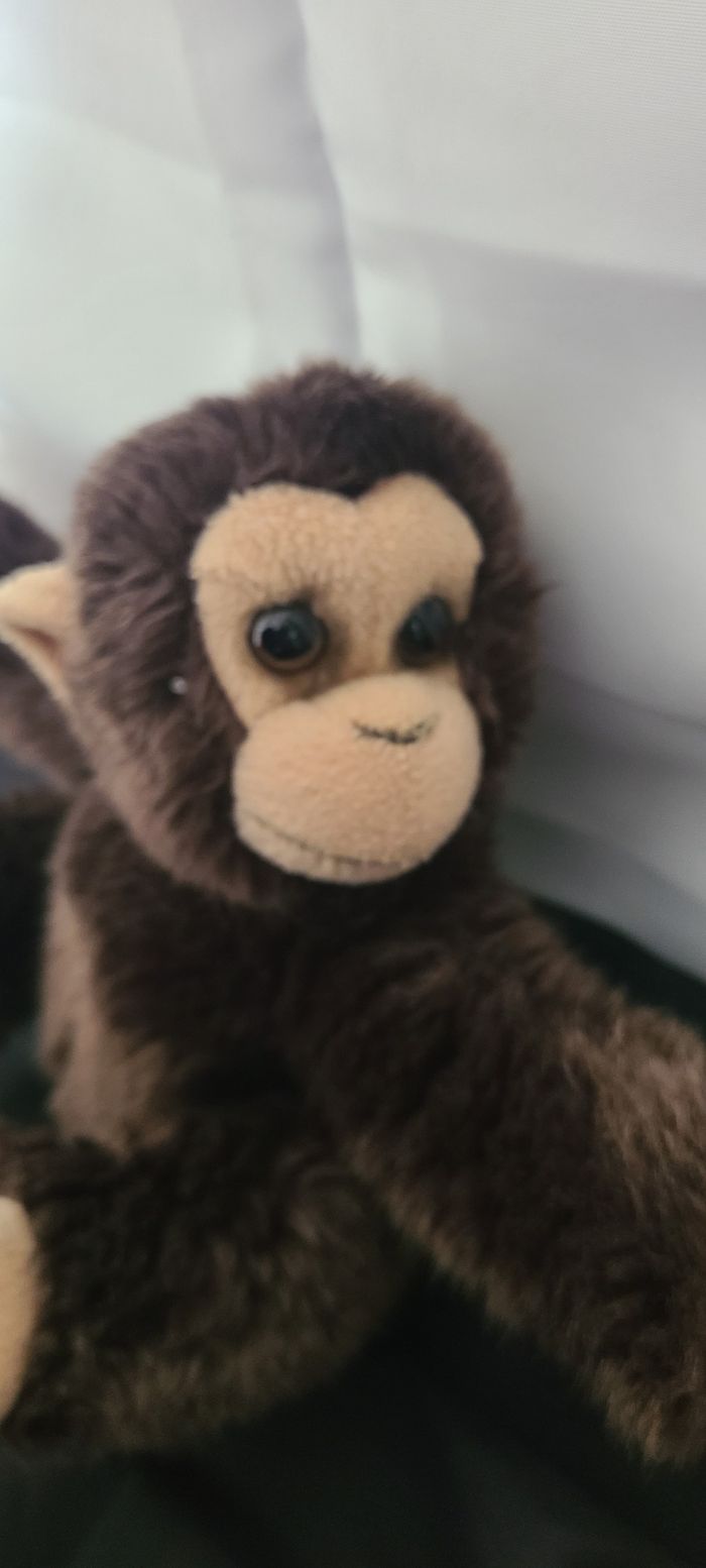 Peluche chimpanzé - photo numéro 2