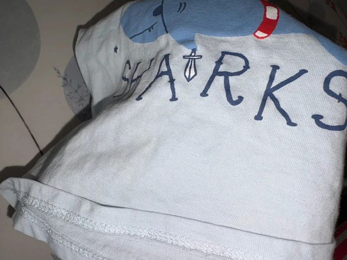 Lot de vêtements 24 mois, petit bateau, mot d’enfants, kiabi, Saint James, - photo numéro 11